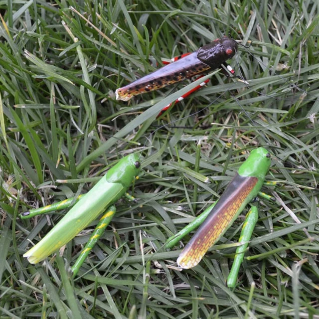 Élénk Rovar Utánzat Állati Hűtőmágneses Játékok Méhek, Hangya, Katicabogár, Béka, - Image 5