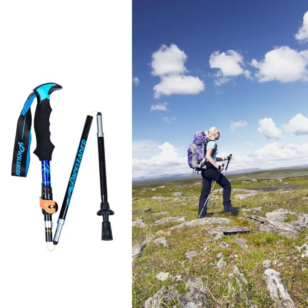 Practical Camping Pole Exquisite Painting 2 Colors Trekking Foldable Stick for Hiking | Спорт и развлечения