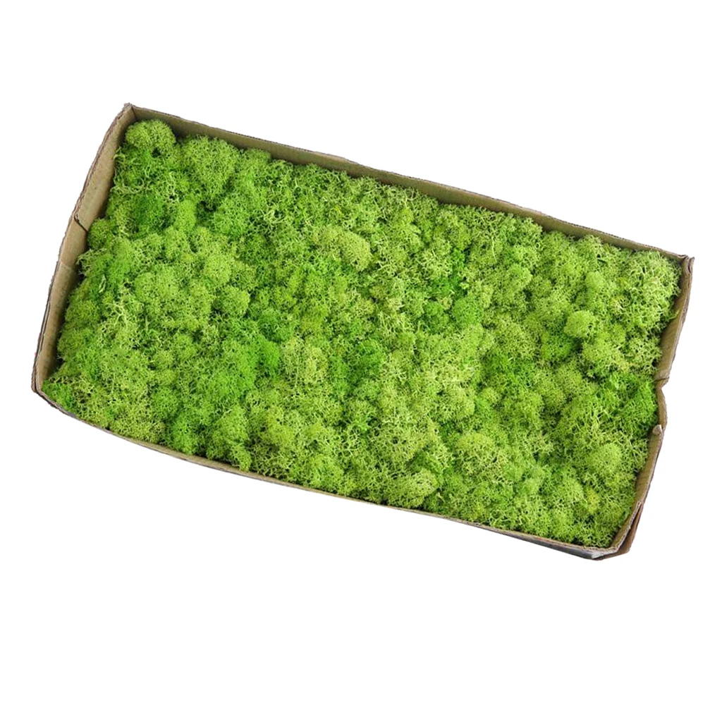 Natural Norwegian Reindeer Moss Preserved Dried Crafts Flower for Flowers Grass Plants Home Garden Garland Wedding Party