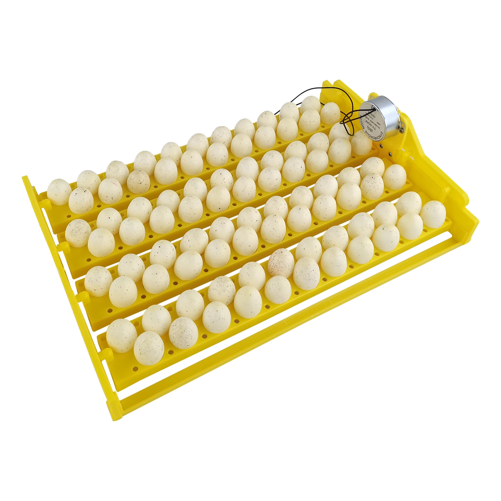 Egg Incubator Automatic 88 Bird Eggs Duck Chicken Eggs Hatching Machine