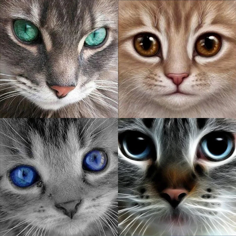 100% 5D Diy Daimond Painting Cross-stitch kits Cat Face eye 3D Diamond Paint Full drill Square/Round Embroidery decor | Дом и сад