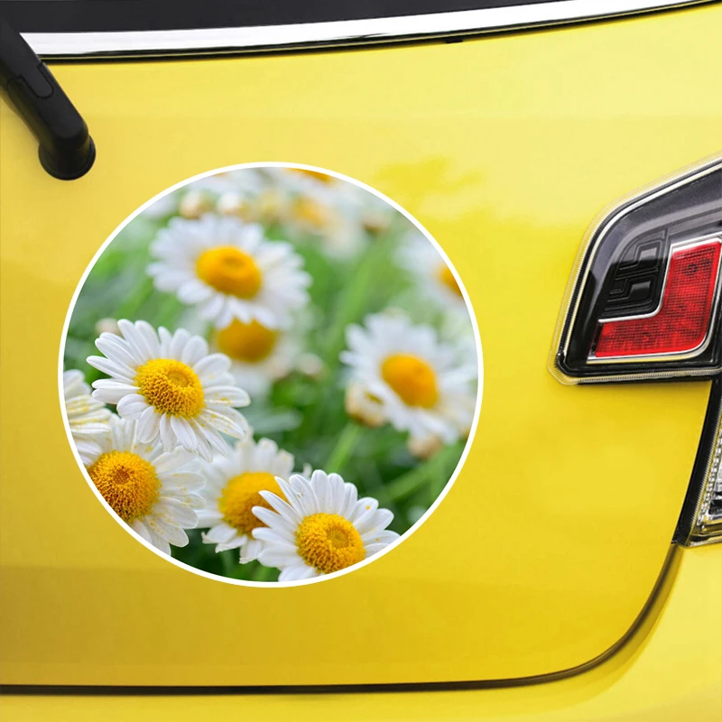 Рисунок 2 - Печатный самоклеющийся наклейки