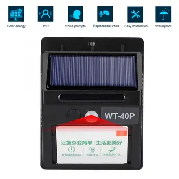 

Smart Infrared Voice Prompter Solar Powered Waterproof Body Motion Sensor for Shop Entrance Trash Classification 100-240V Infrar