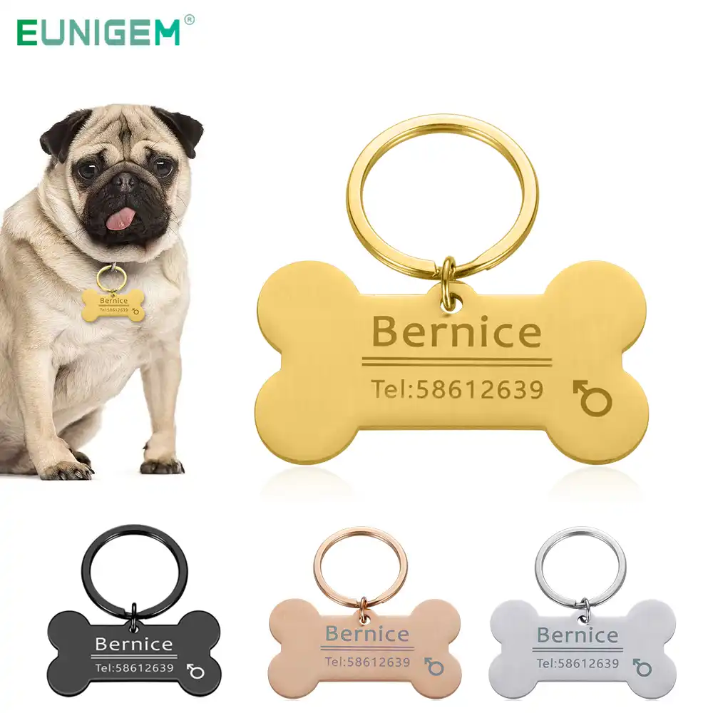 dog collar keychain