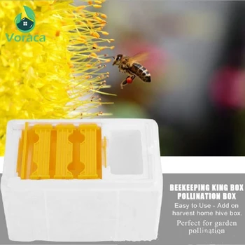 

Foam Hive Box Bee Queen Mating Box Beekeeping Tool Copulation Pollination For Bee Mating Tool eehive Beekeeping Reserve Case