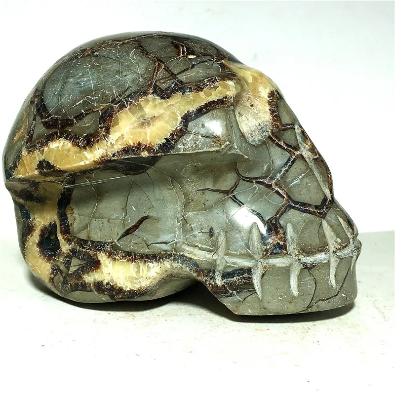 

skull natural septarium quartz Crystal Stone and craft reiki healing Decorative
