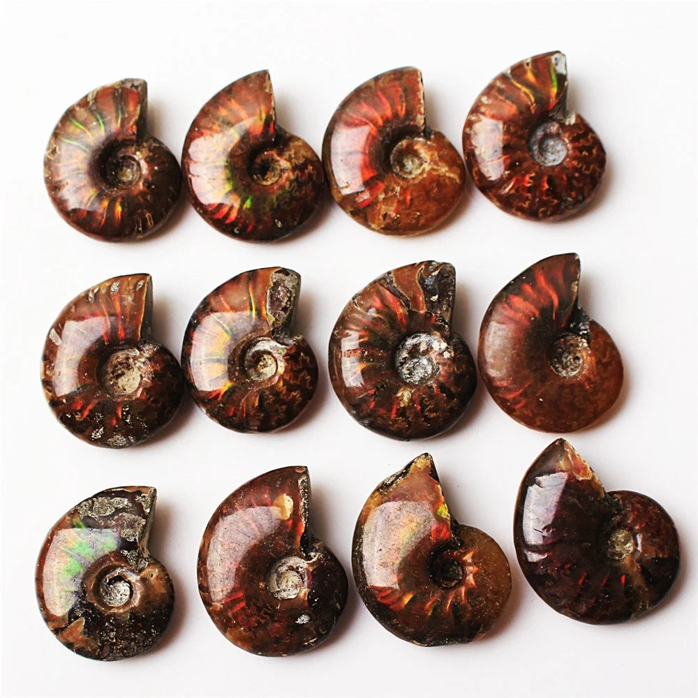 1 шт. редкий красный светильник монит ископаемая оболочка красочная