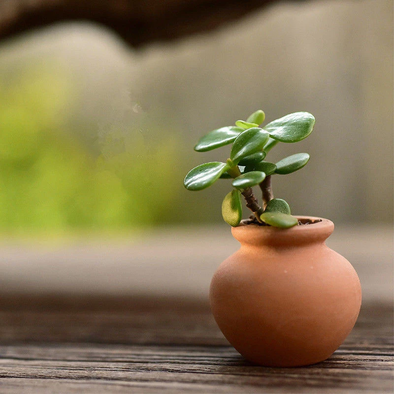 

Creative 2PCS/set Mini Flower Pots Clay Plant Pot For Planter Garden Plant Care Wedding Decoration Craft new decor for home diy