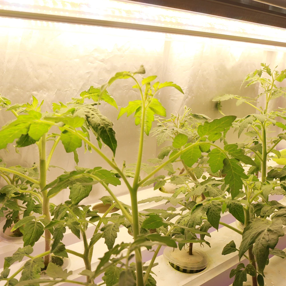 20pcs/lot 120cm T8 Tube LED Grow Lights Bar Full Spectrum Plant Phyto Lamp for Cultivation Hydroponics Vegs Seedlings Greenhouse