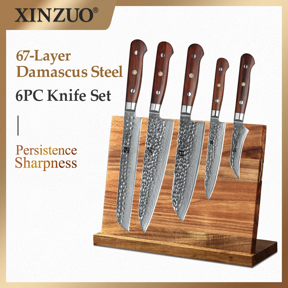 XINZUO 5 PCS Kitchen Knives Sets Japanese 67 Layers Damascus Knife New