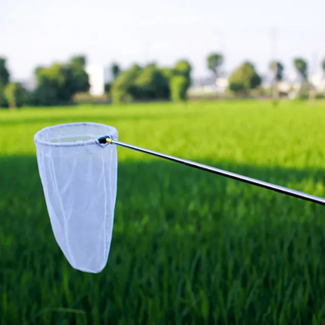 Rozsdamentes Acél Strand Behúzható Rovarháló Ultra-Rövid Pillangó Rovar Nettó Táska Rovarok Kis Halak Fogó Háló - Image 3
