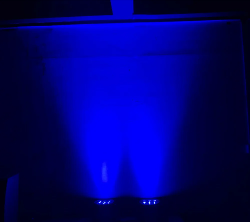 20200811_IMG_9554_副本