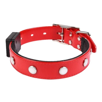 

Pet Adjustable Collar, USB Magnetically LED Chargeable Luminescent, Dog Waterproof Odor-proof Collar Hot