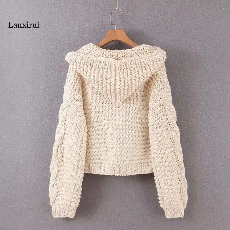 Chic Hooded Cross Twist Flowers Hooked Sweater