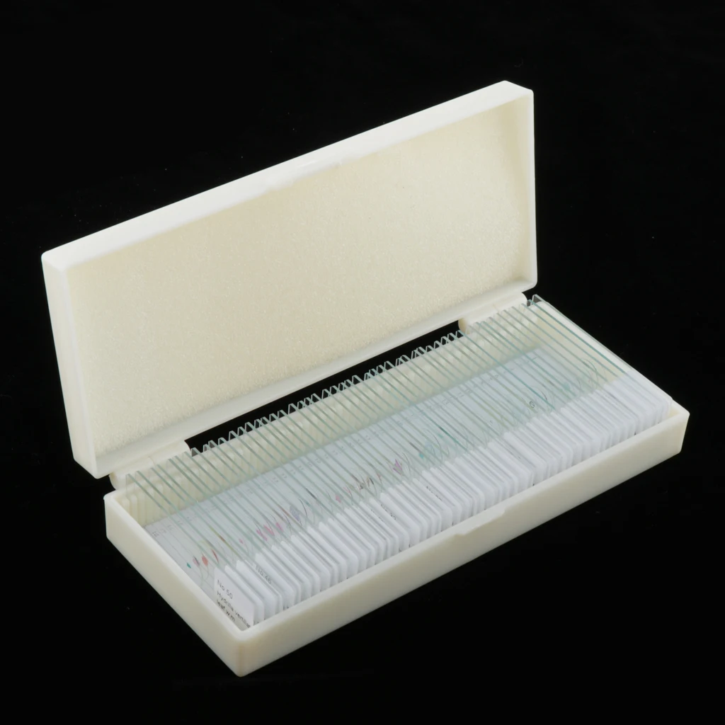 Prepared Slide Set - 50-piece Blank Slides for Microscope with Storage Case