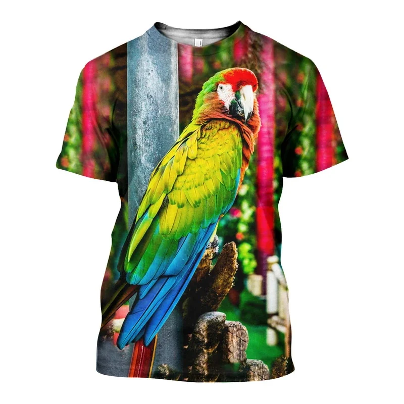 Duc_Parrot_3D_DT091111_TS_800x