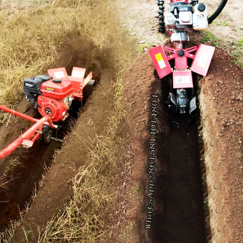 O1CN01LNJbs42DCU3XPli6m_!!2589718573