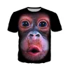 2022 New Fashion men 3d T Shirt Funny Printed Chest Hair Muscle Short Sleeve Summer men's tshirts Funny monkey face T-shirt Y201 ► Photo 3/6