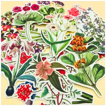 

21Pcs/Set Retro Vintage Orchid Flower Sticker DIY Craft Scrapbooking Album Junk Journal Happy Planner Decorative Stickers