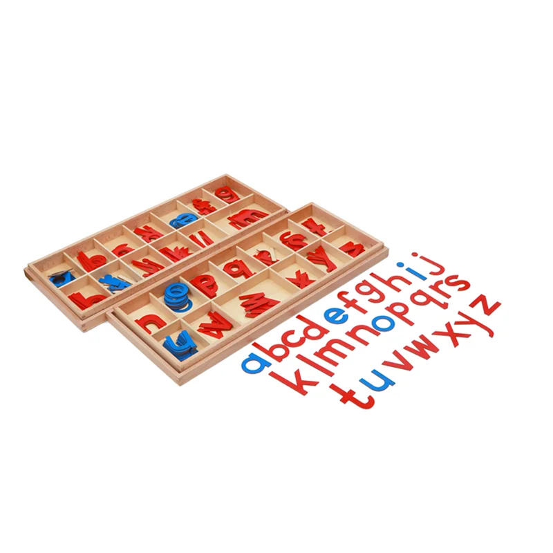 Material Spotlight: Montessori Moveable Alphabet from the Language Area