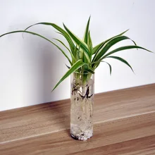 Домашний Прозрачный цилиндрический стеклянный цветочный горшок мини настенный водяной завод ваза подача в резервуар для сада садовый стол ваза для цветов