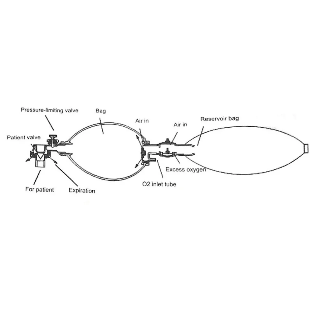 FYP219501-C-20032806-1