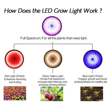E27 полный спектр дистанционного управления светодиодная лампа для выращивания растений 50 Вт Высокая мощность солнечного света Функция синхронизации Фито лампа для сада цветок Vege
