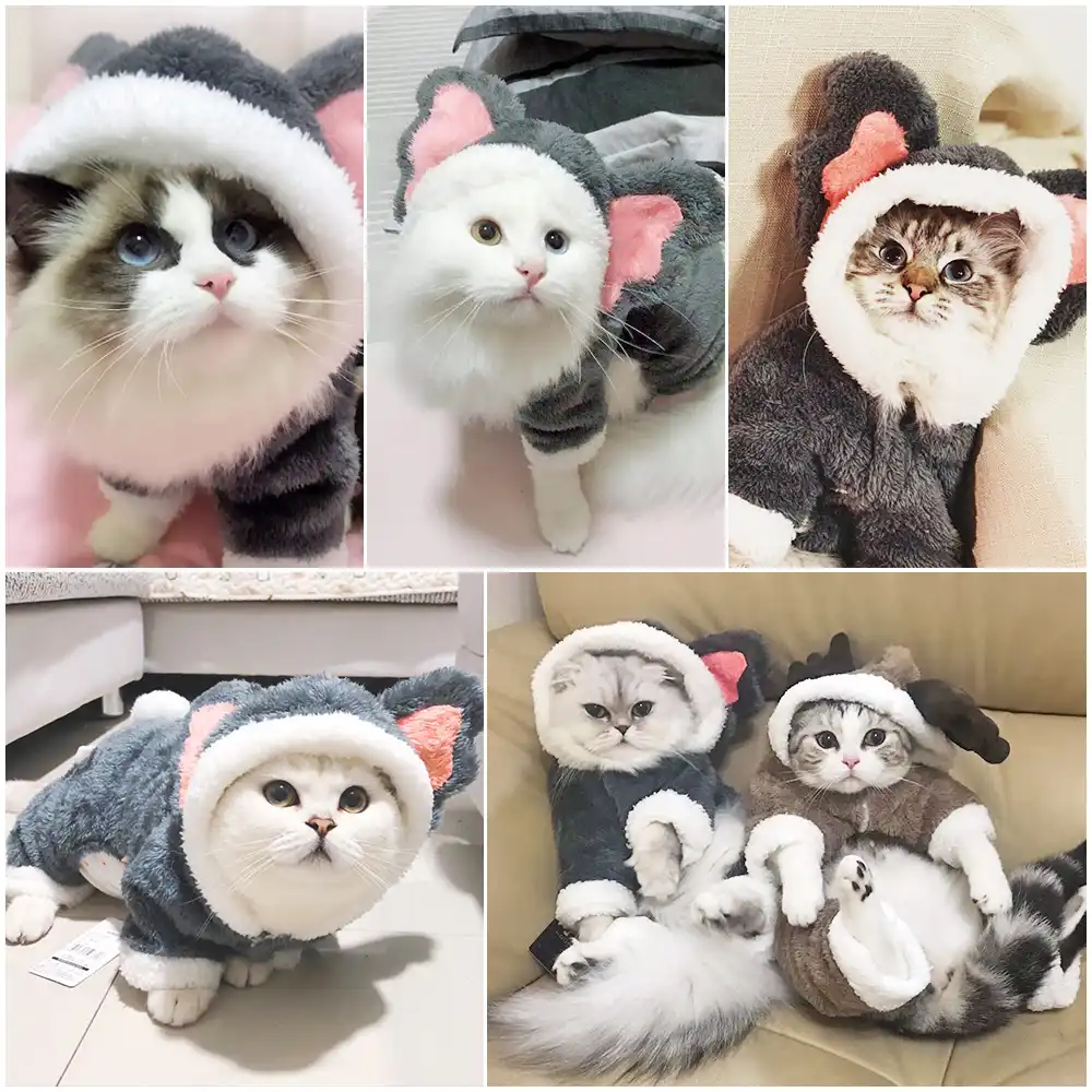 Winter Funny Christmas Pet Cat Costumes Fashion Small Pet Cats Clothes Dogs New Year Vetement Pour Chat Kitten Costume Oo50js Cat Clothing Aliexpress