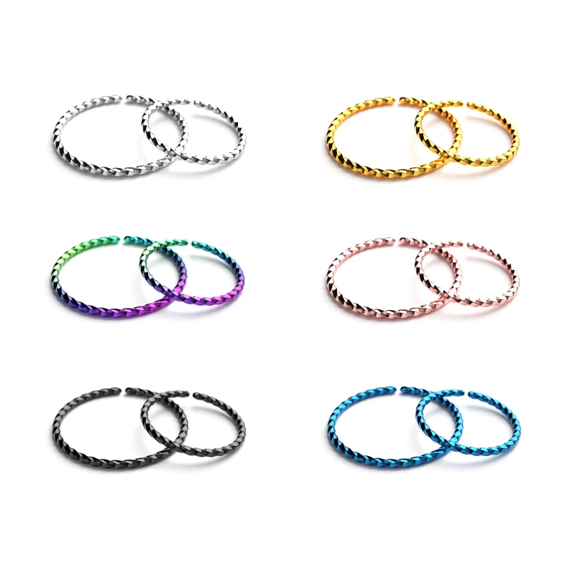 2pcs Stainless Steel Twist Segment Rings Nose Septum Ring Hoops Ear