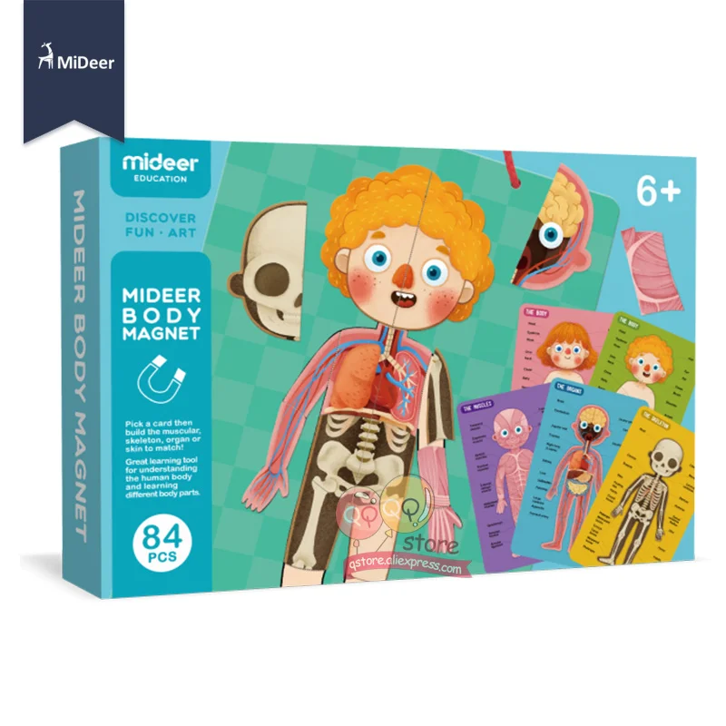 human body learning toys