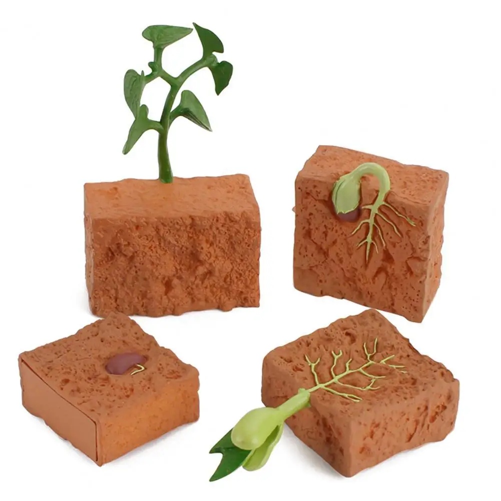 Juguete educativo de simulación de crecimiento de plantas para el hogar, modelo de ciclo de crecimiento de plantas de PVC, juguete cognitivo para chico, adorno de sobremesa, 4 Uds.