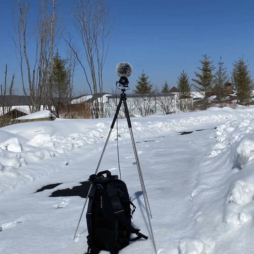 QQ图片20200423101724_副本