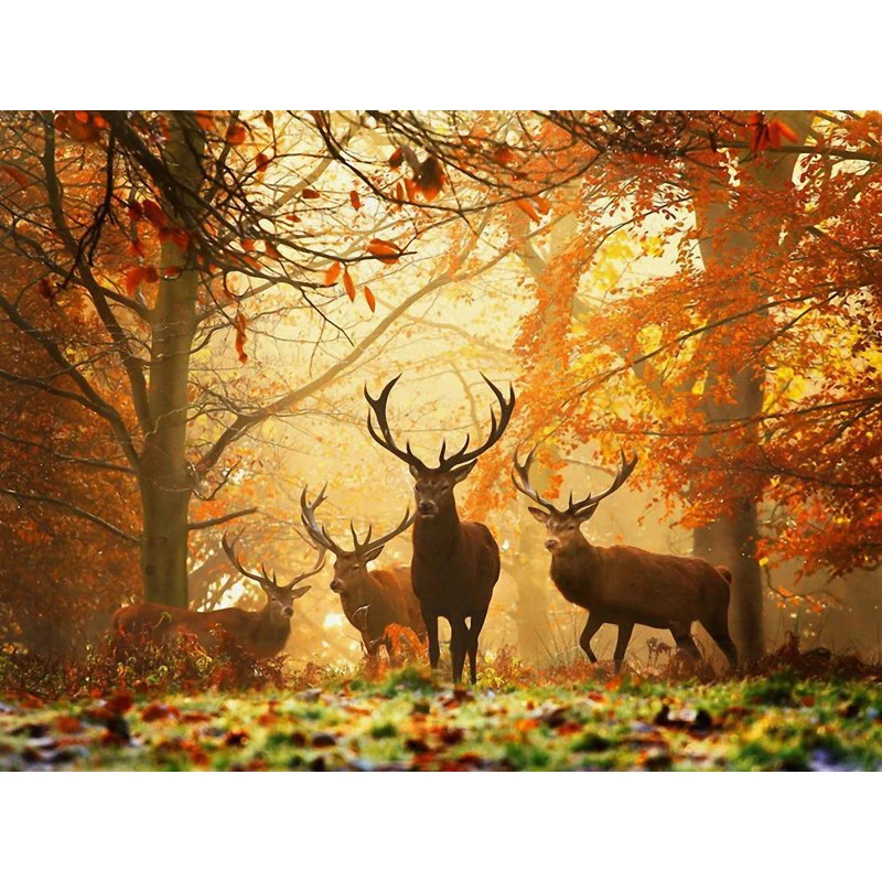 DIY 5D Mosaic Handmade Diamond Painting Cross Stitch Kit Embroidery Autumn Landscape Tree and Deer Rhinestone Art | Дом и сад