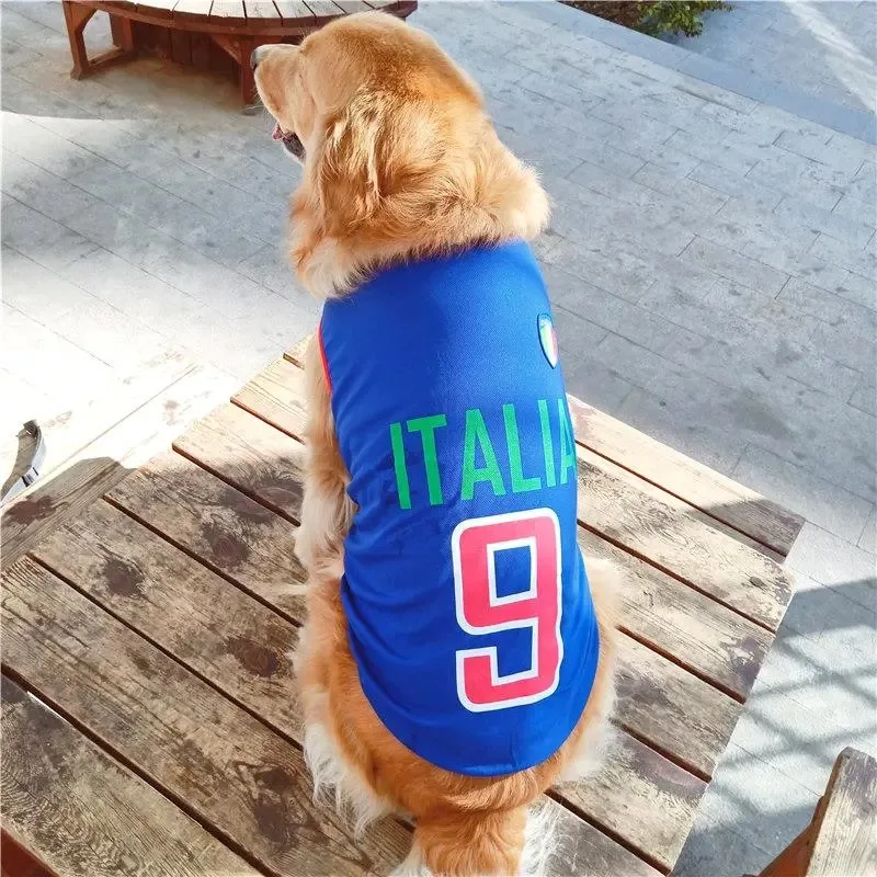 H0799cc20e13f472eb2285fb8d5614152Z.jpg?width=800&height=800&hash=1600