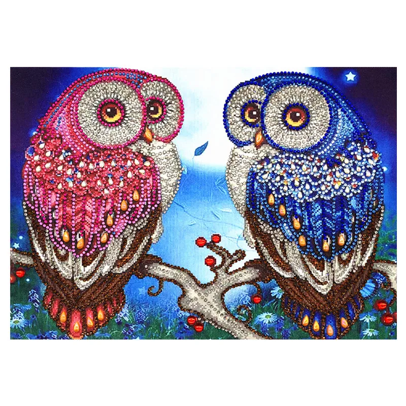 Couple Owl 5D DIY Irregular Diamond Painting Embroidery Rhinestone Crystal Cross Craft Needlework Bag