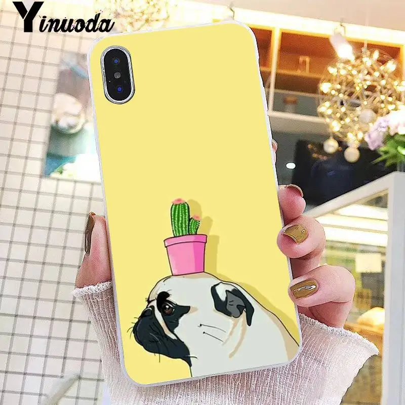 Animal Cute Pug Dog