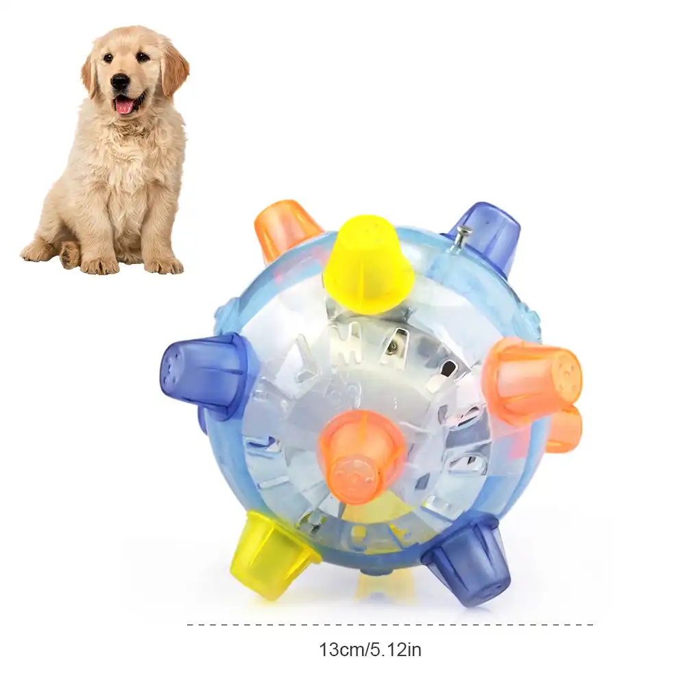 Balle vibrante pour chien Outlet
