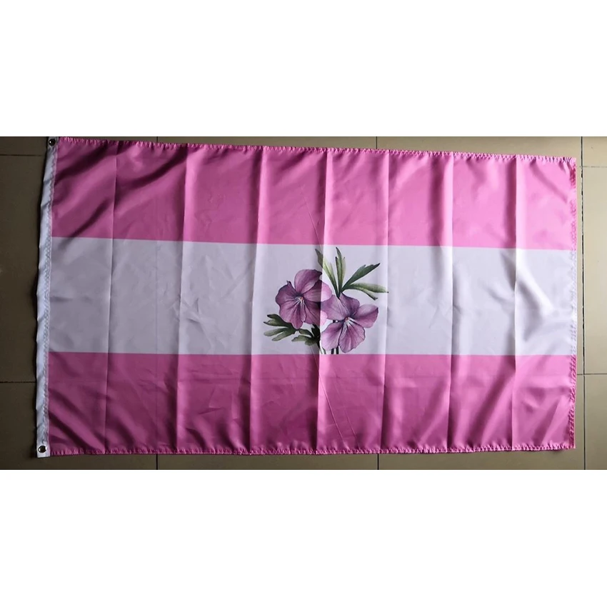 Sapphic Pride Flag 150x90 см Lgbt 100D полиэстер двойной сшитый внутренний открытый подарок
