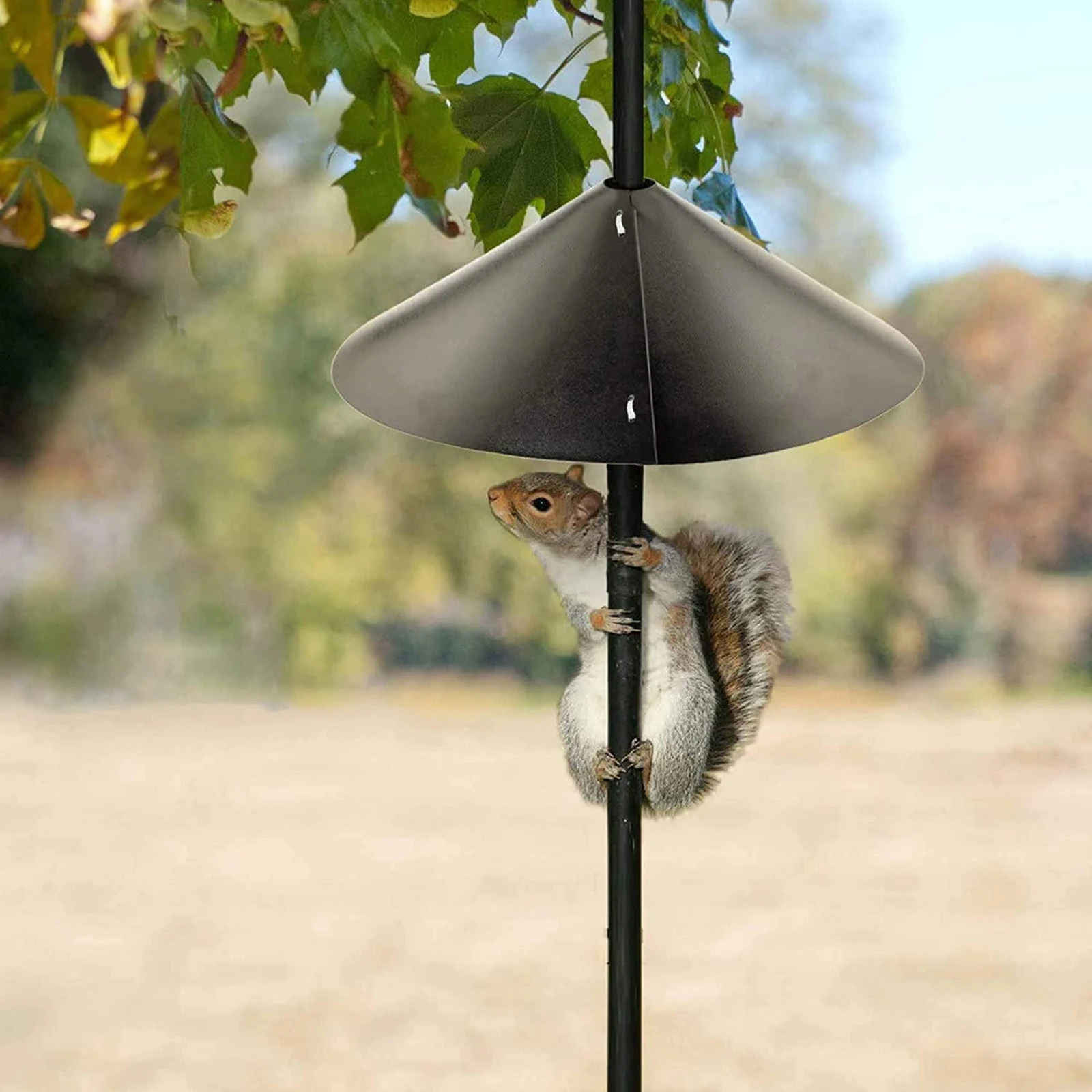Bird Feeder Bezel Circular Wall Protection Universal Wild Outdoor Hanging Wrap Squirrel Baffle Protective Cover