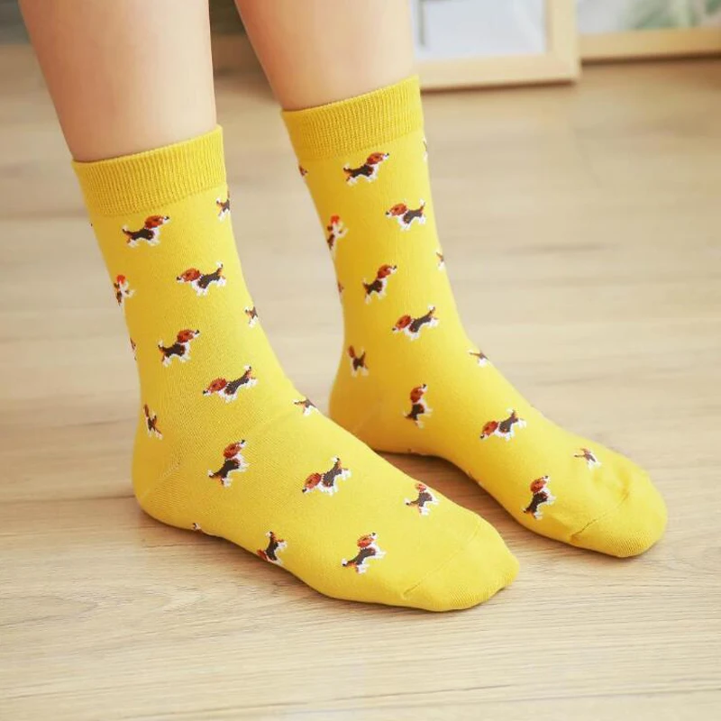 Женские милые Носки с рисунком кота и собаки, Осень-зима, повседневные короткие смешные носки, дешевая цена для женщин, носки-тапочки