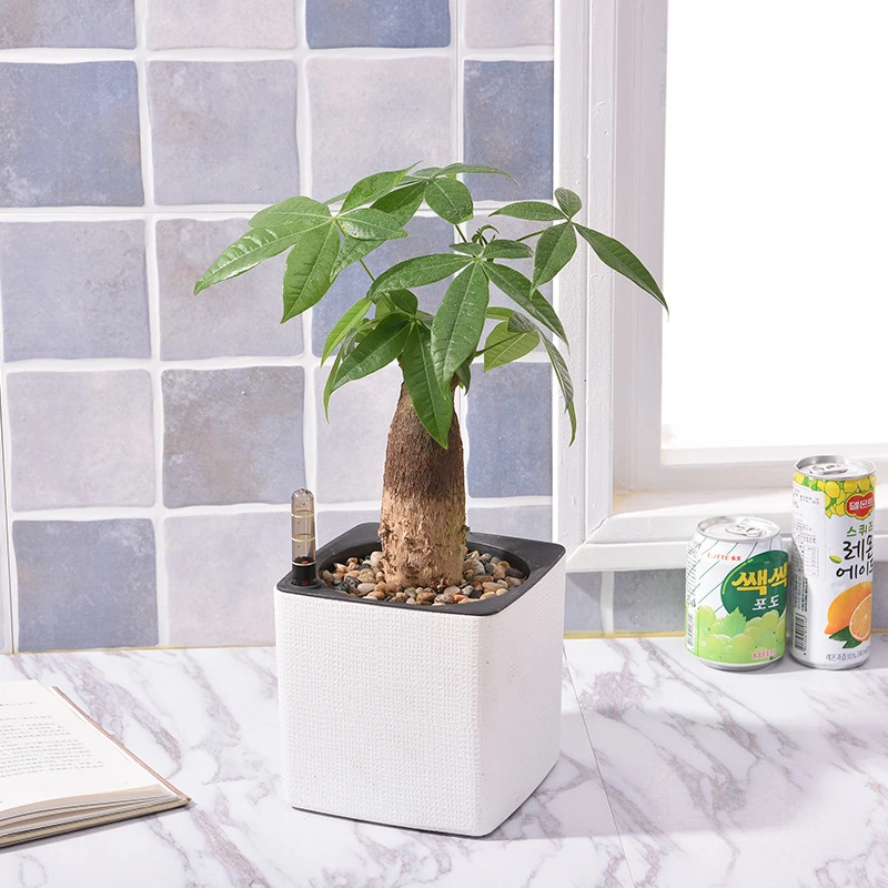 

Lazy Automatic Watering Flower Pot Square Home Plant Holder Plastic Desktop Nursery Pot Moisture Absorption Garden Supplies