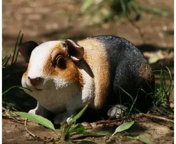 

Animal guinea pig furnishings villa garden lovely cartoon hamster country rat places household sculpture decoration crafts