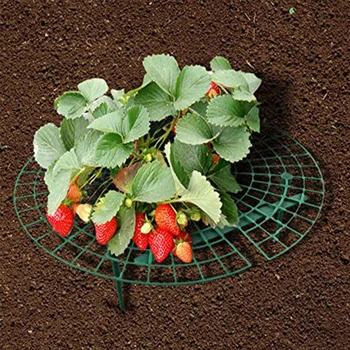 

10PCS Strawberry Frame Fruit Garden Bracket Fence Flower Plant Support Stakes Semi Circular Metal Frame Professional For Garden
