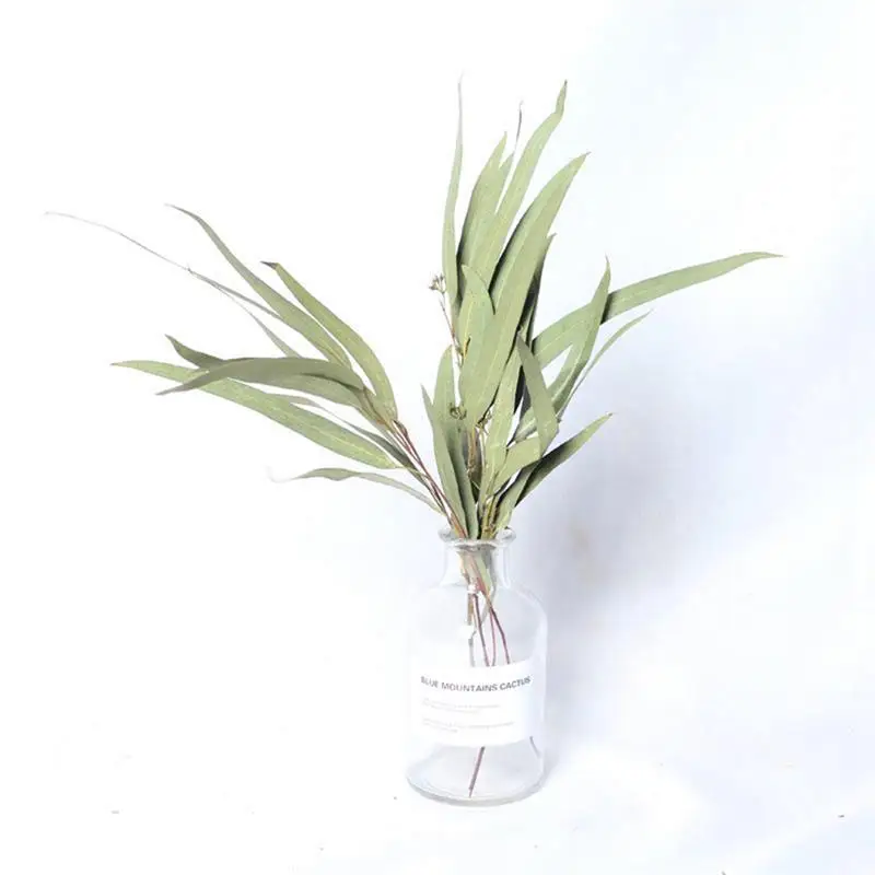 1 Bunch Eucalyptus Leaves Willow Dry Flower Bouquet Office Home Decoration Flower Material Handmade Flower DIY Accessories