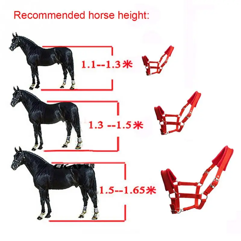 Снаряжение для верховой езды защитный регулируемый ремень Открытый флисовый мягкий лошадь Холтер двухслойный практичный несколько