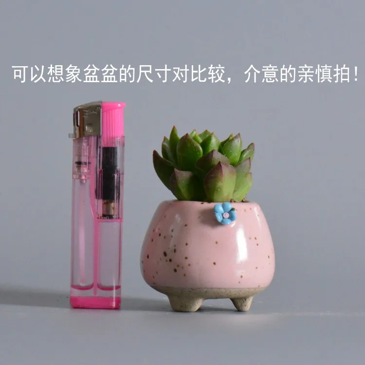 PC Kawaii маленькие животные Керамический Мини-горшок для цветов плантатор Горячая сочный горшок для цветов с отверстием