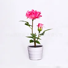 Производственная поставка Солнечный светодиодный Настольный светильник Выдвижная настольная лампа на солнечной батарее производители Новые