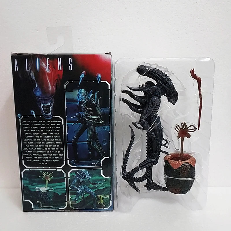 WuTa_2019-12-01_15-51-58