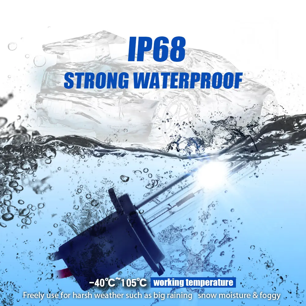 c59201edc136ab79eb5f293154656472