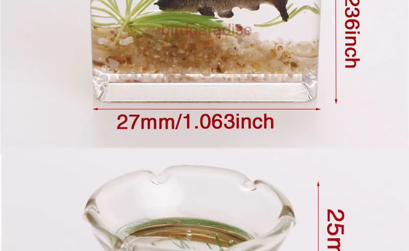 1PC Dollhouse Miniature Glass Fish Tank Bowl Doll House Ornament Model Toys Dolls Accessories For Barbie House Blyth Bjd OB11 1PC Dollhouse Miniature Glass Fish Tank Bowl Doll House Ornament Model Toys Dolls Accessories For Barbie House Blyth Bjd OB11